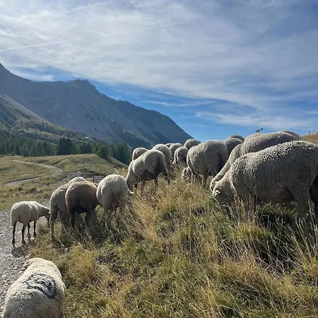 Apartment Riviera Ii *