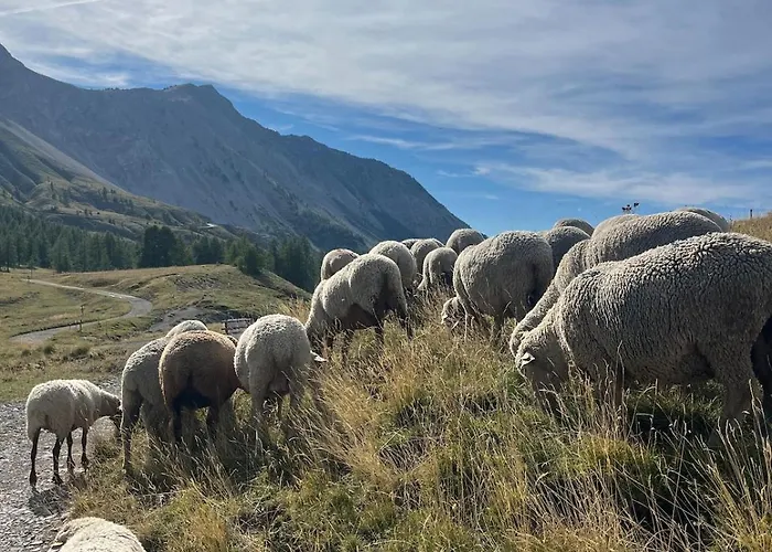 דירה Riviera Ii *